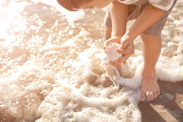 Niedlicher Kleiner Junge Sammelt Muscheln Strand — Stockfoto