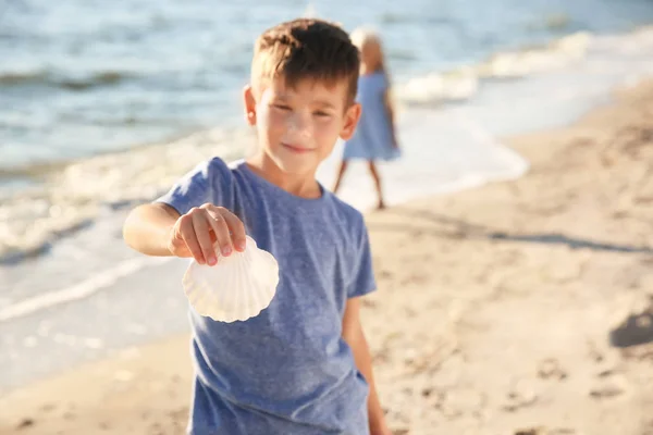 Netter Kleiner Junge Mit Muschel Strand — Stockfoto