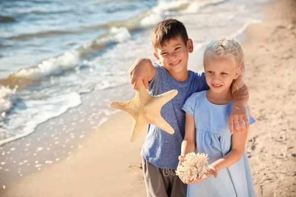 Carini Bambini Piccoli Con Stelle Marine Corallo Sulla Spiaggia Mare — Foto Stock