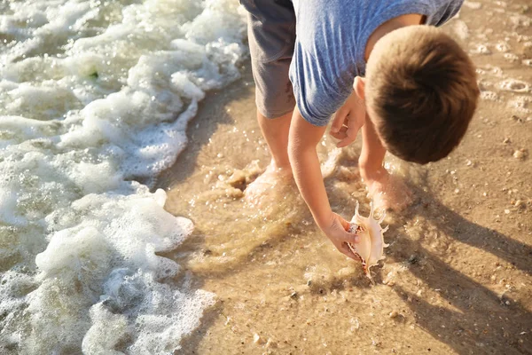 Niedlicher Kleiner Junge Sammelt Muscheln Strand — Stockfoto