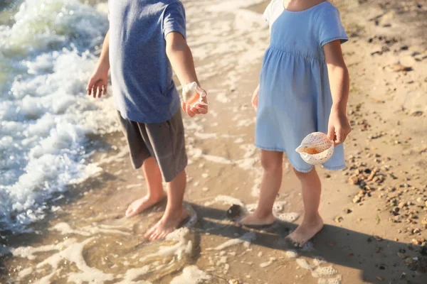 Bambini Piccoli Carini Con Conchiglie Sulla Spiaggia — Foto Stock