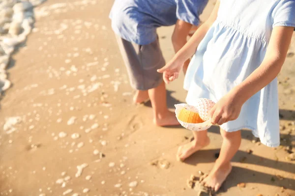 Niedliche Kleine Kinder Mit Muscheln Strand — Stockfoto