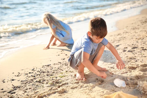 Cute Little Children Gathering Sea Shells Beach — Stock Photo, Image