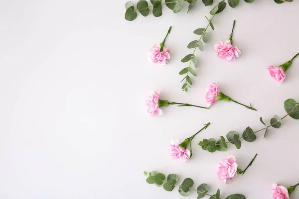 Gyönyörű Virágok Ágak Fehér Háttér — Stock Fotó