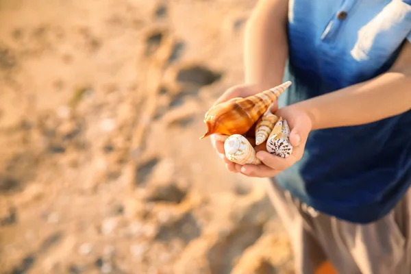 Cute Little Boy Sea Shells Beach Closeup — Stock Photo, Image