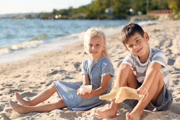 Niños Jugando Con Conchas Marinas Playa — Foto de Stock