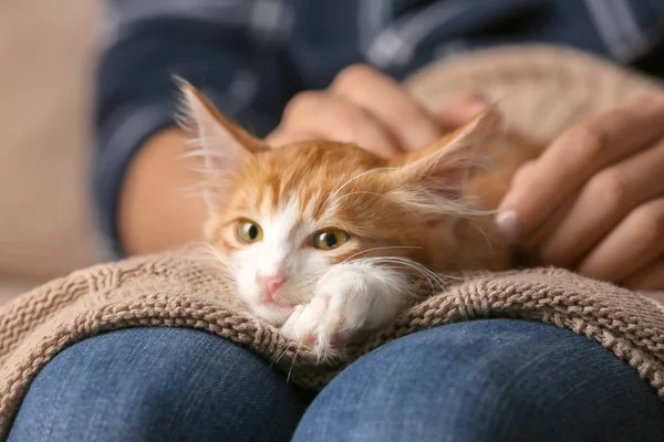 Femme Avec Chaton Mignon Maison Gros Plan — Photo