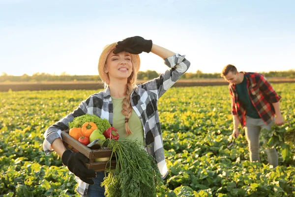 Agricultora Com Hortaliças Colhidas Campo — Fotografia de Stock