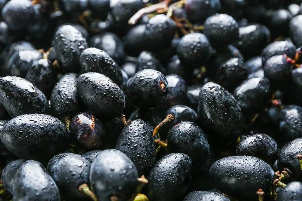 Ripe Sweet Grapes Background — Stock Photo, Image