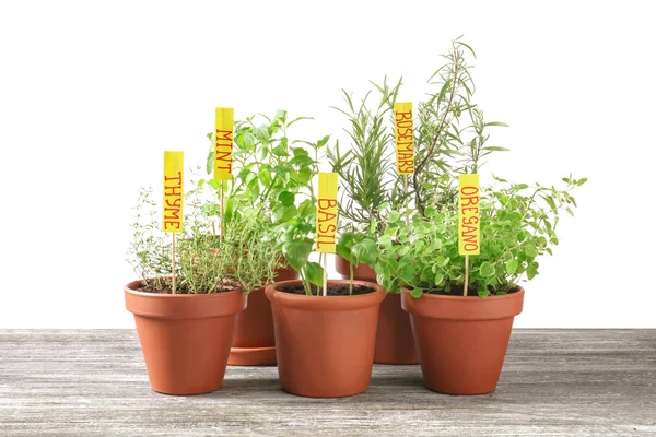 Macetas Con Hierbas Aromáticas Frescas Sobre Mesa Madera Sobre Fondo — Foto de Stock