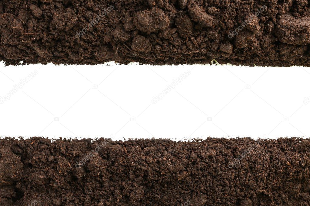 Soil on white background with space for text