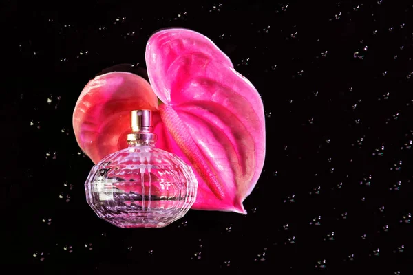 Botella Perfume Con Flores Tropicales Gotas Agua Sobre Fondo Oscuro — Foto de Stock