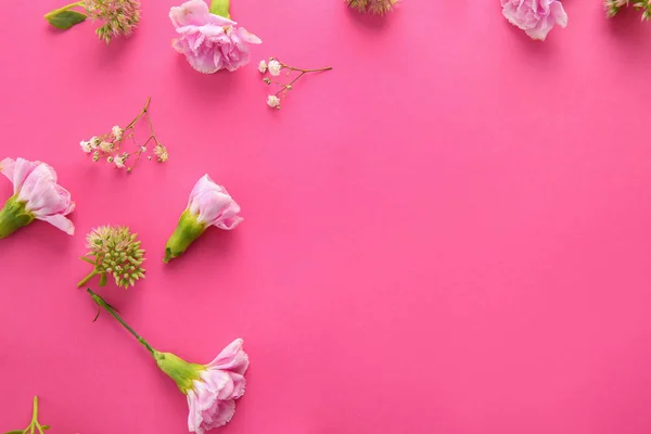Beautiful Flowers Color Background — Stock Photo, Image