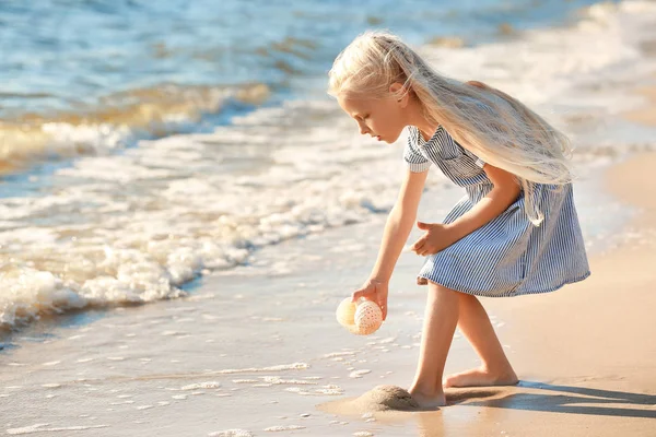 Cute Little Girl Gathering Sea Shells Beach — Stock Photo, Image
