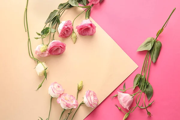 Samenstelling Met Mooie Bloemen Kleur Achtergrond — Stockfoto