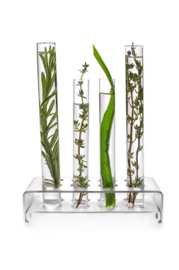 Test tüpleri tutucu beyaz arka plan üzerinde farklı bitkiler ile