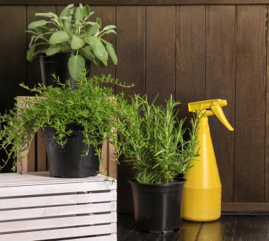 Ahşap masa üzerinde taze aromatik otlar ile tencere