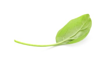 Beyaz arka plan üzerinde taze aromatik kuzukulağı