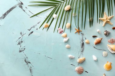 Farklı deniz kabukları ve renk arka plan üzerinde palmiye yaprağı