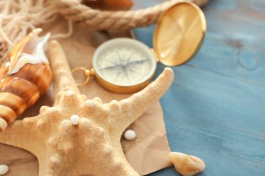 Deniz yıldızı ve deniz kabukları üzerinde renk tablosu, portre