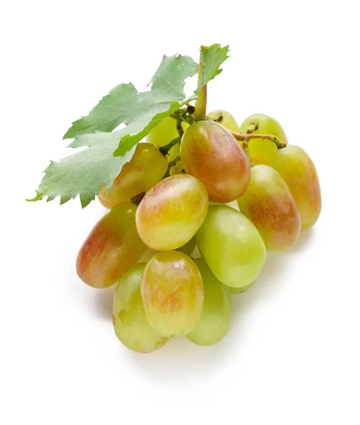 白を基調とした新鮮な熟したブドウ — ストック写真