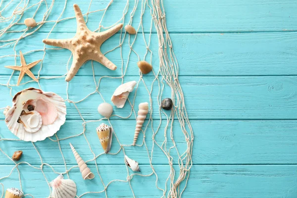 Different Sea Shells Color Wooden Background — Stock Photo, Image