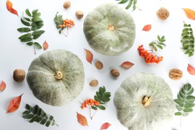 Taze kabak ve beyaz arka plan yapraklarda sonbahar kompozisyonu