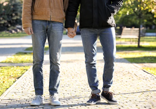 Feliz Pareja Gay Caminando Parque —  Fotos de Stock