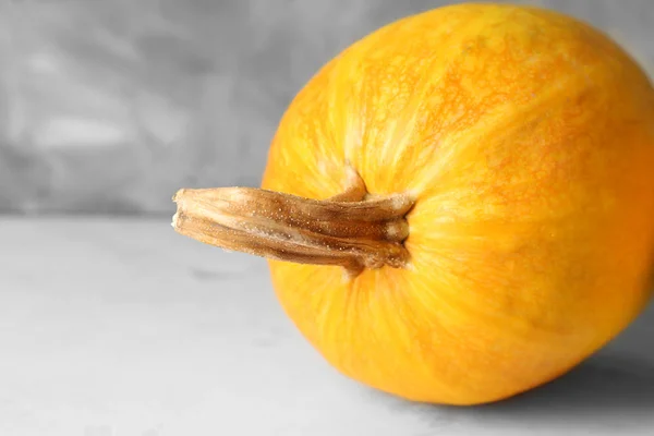 Whole Fresh Pumpkin Light Table Stock Picture