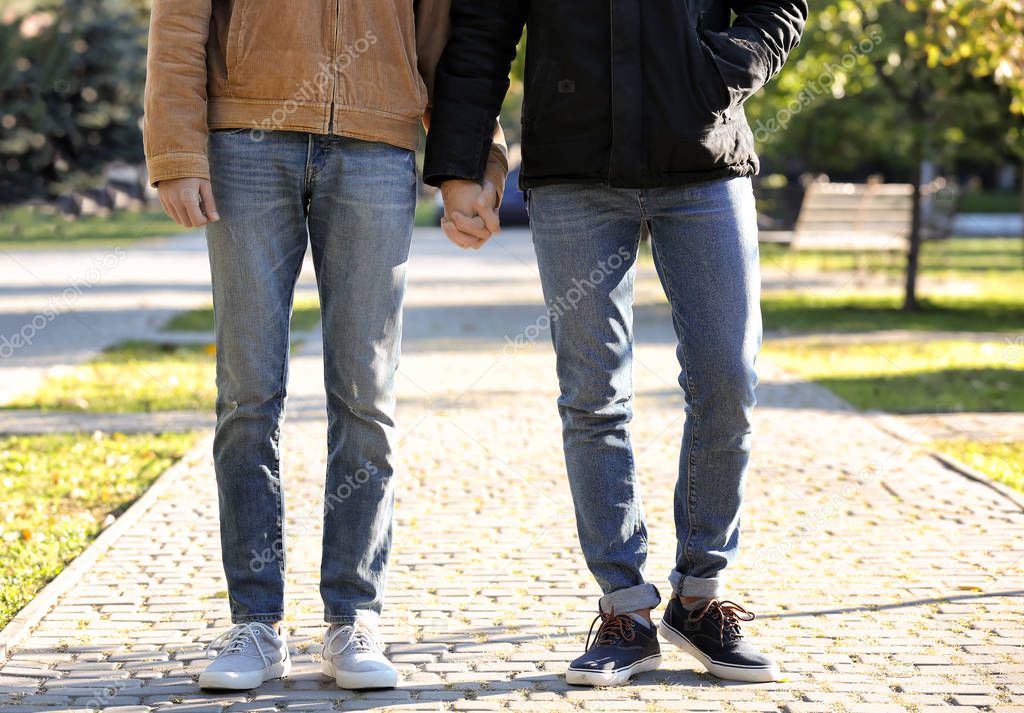 Happy gay couple walking in park