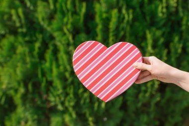 Kalp şekilli hediye kutusu arka plan bulanık üzerinde tutan kadın