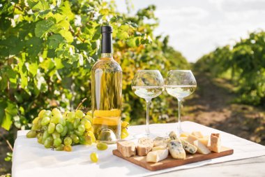 Glasses and bottle of white wine with cheese on table in vineyard clipart