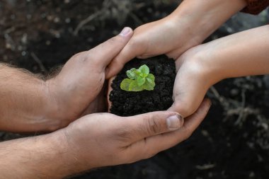 Yeşil fide ile toprak açık havada tutan insanlar
