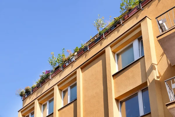 View Beautiful Building Flowers Roof — Stock Photo, Image