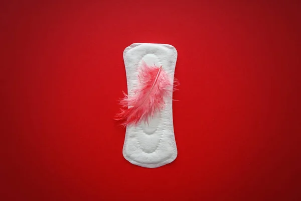 Almohadilla Menstrual Con Plumas Sobre Fondo Color —  Fotos de Stock