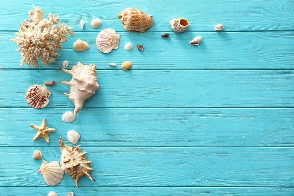 Different Sea Shells Color Wooden Background — Stock Photo, Image