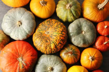 Farklı Taze kabak, üstten görünüm