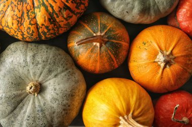 Farklı Taze kabak, üstten görünüm