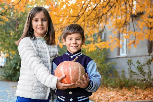 Carini Bambini Piccoli Con Zucche All Aperto — Foto Stock