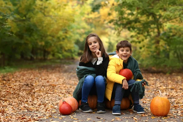 秋の公園でカボチャとかわいい子供たち — ストック写真