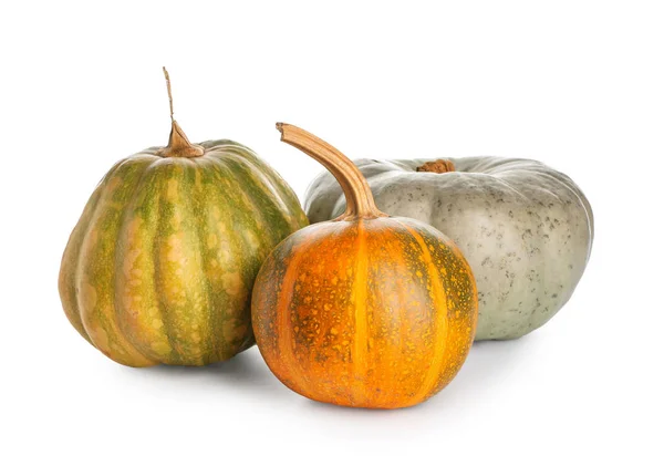 Whole Fresh Pumpkins White Background Royalty Free Stock Images