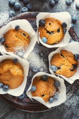 Lezzetli blueberry muffins gri tablo ile tepsi