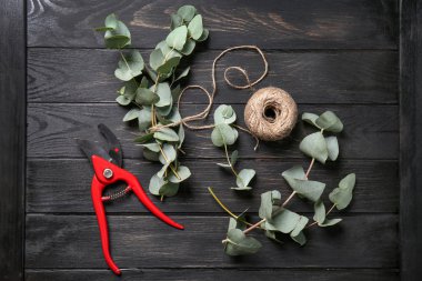 Yeşil okaliptüs dalları budayıcı ve koyu ahşap masa ipte topu ile