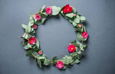 Okaliptüs şube ve gri arka plan üzerinde kasımpatı çiçekleri ile kompozisyon