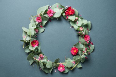 Okaliptüs dalları ile taze yaprakları ve kasımpatı çiçekleri renk arka plan üzerinde