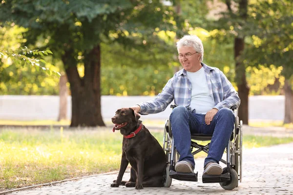 Senior Man Wheelchair His Dog Outdoors — Stock Photo, Image