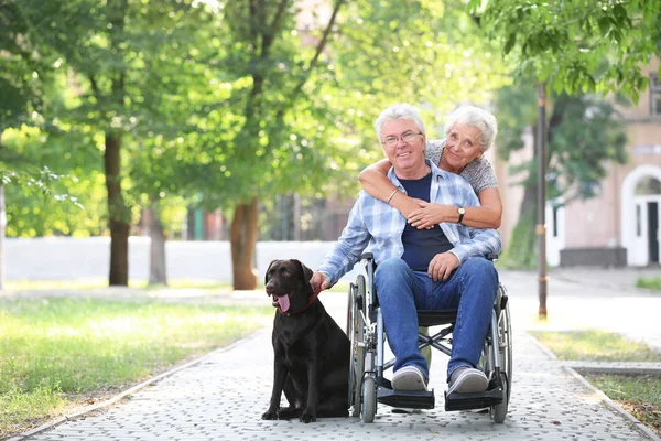 Senior Man Wheelchair His Wife Dog Outdoors — Stock Photo, Image