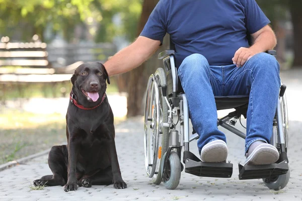 Senior Man Wheelchair His Dog Outdoors — Stock Photo, Image