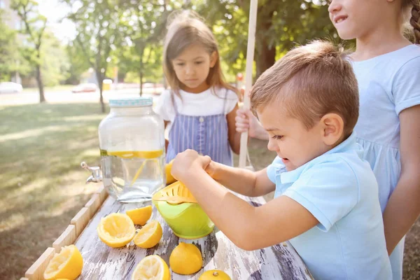 Niño Pequeño Preparando Limonada Fresca Parque — Foto de Stock