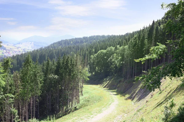 Malerische Landschaft Mit Pfad Bergwald — Stockfoto